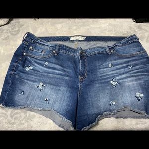 Torrid Size 26 Short shorts!